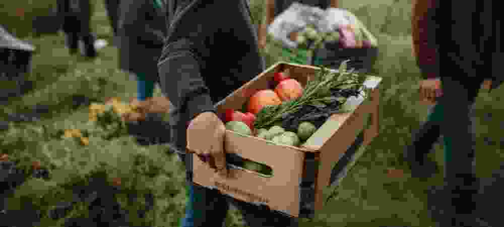 BSG - Fertilizantes Líquidos a partir de substâncias Húmicas